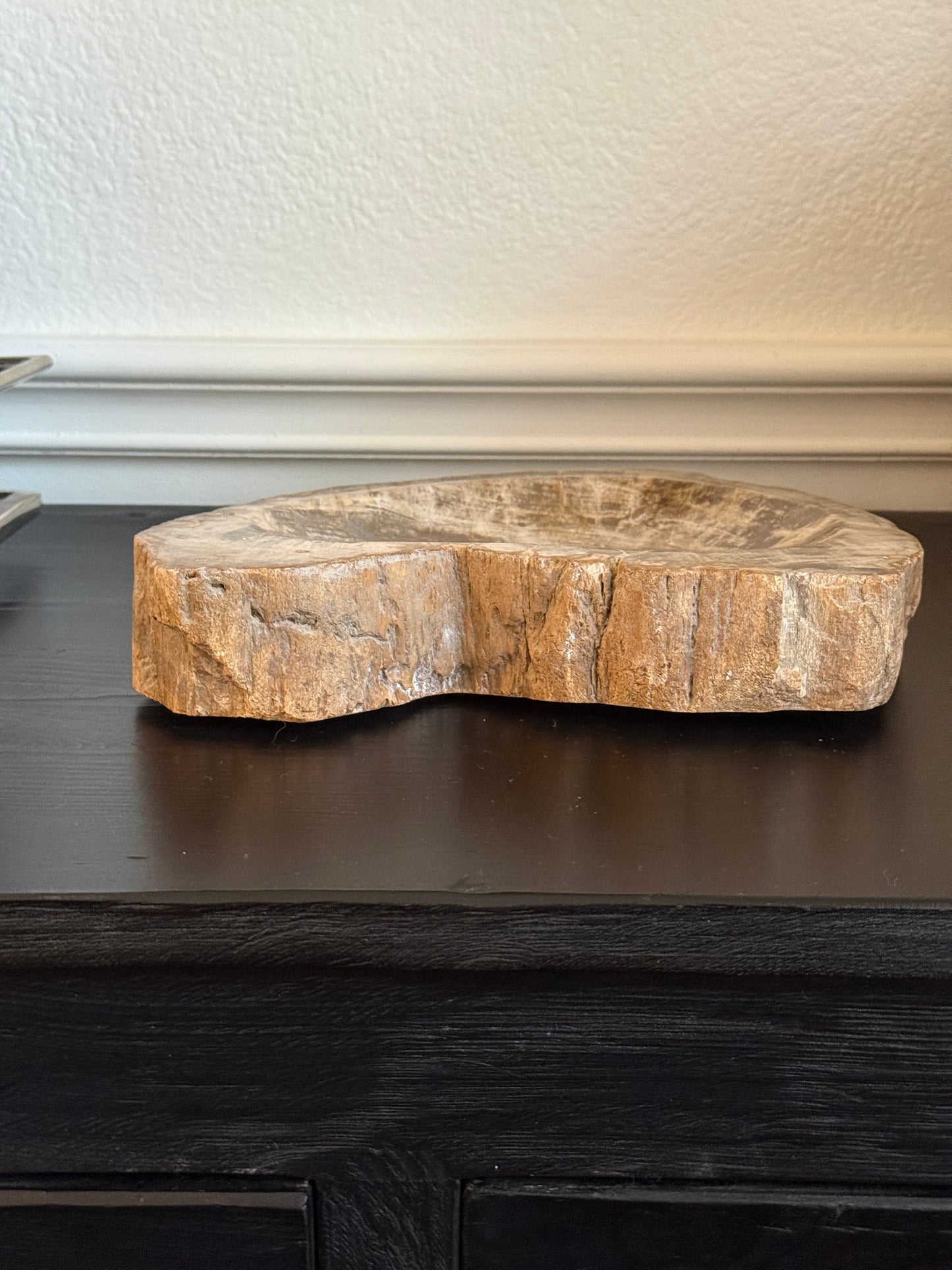 Large Petrified Wood Bowl