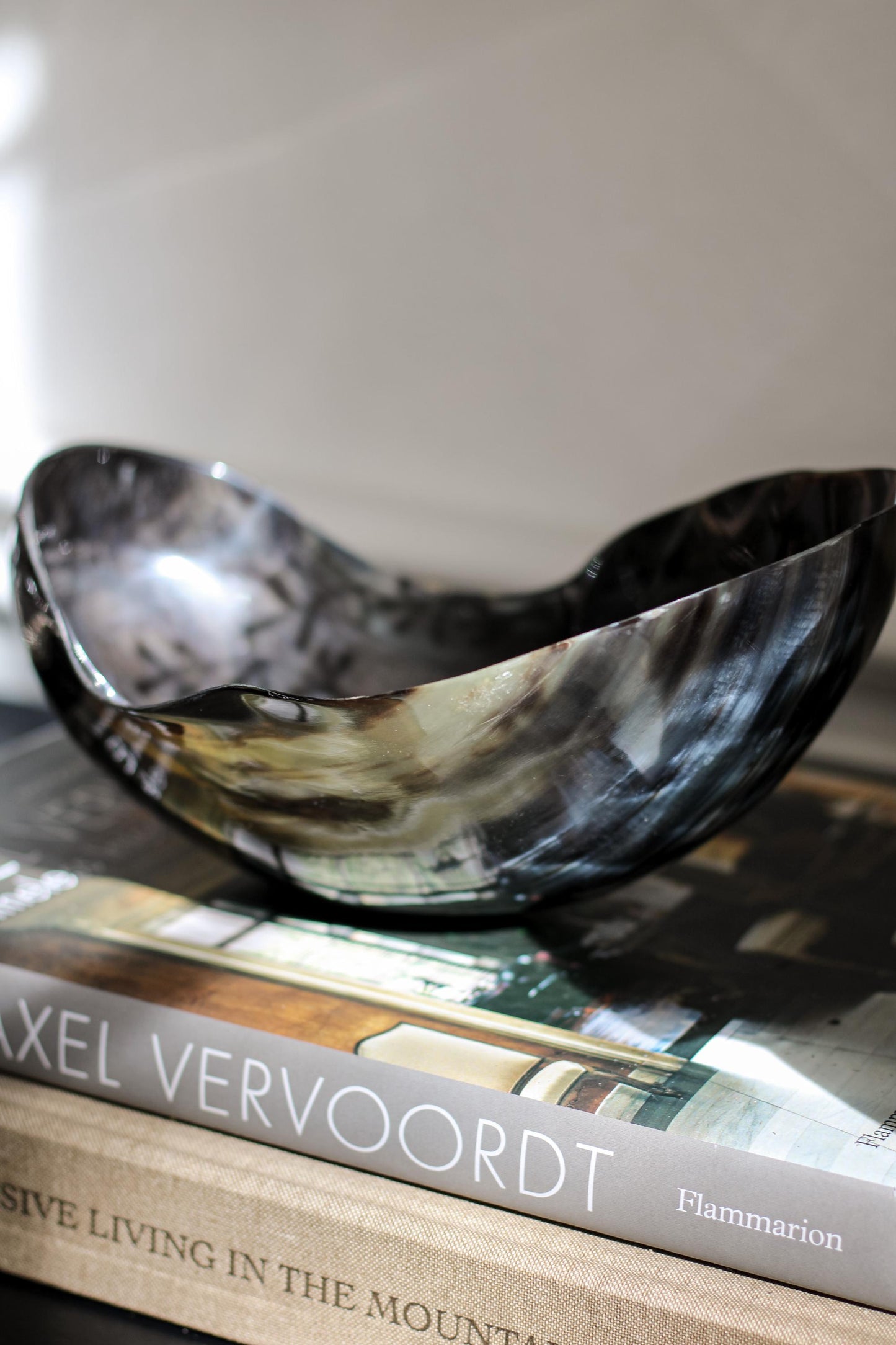 Sculptural Horn Bowl
