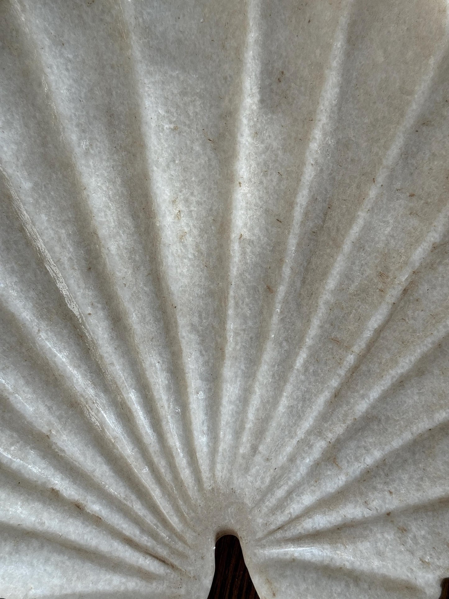 Large Marble Shell Bowl Platter