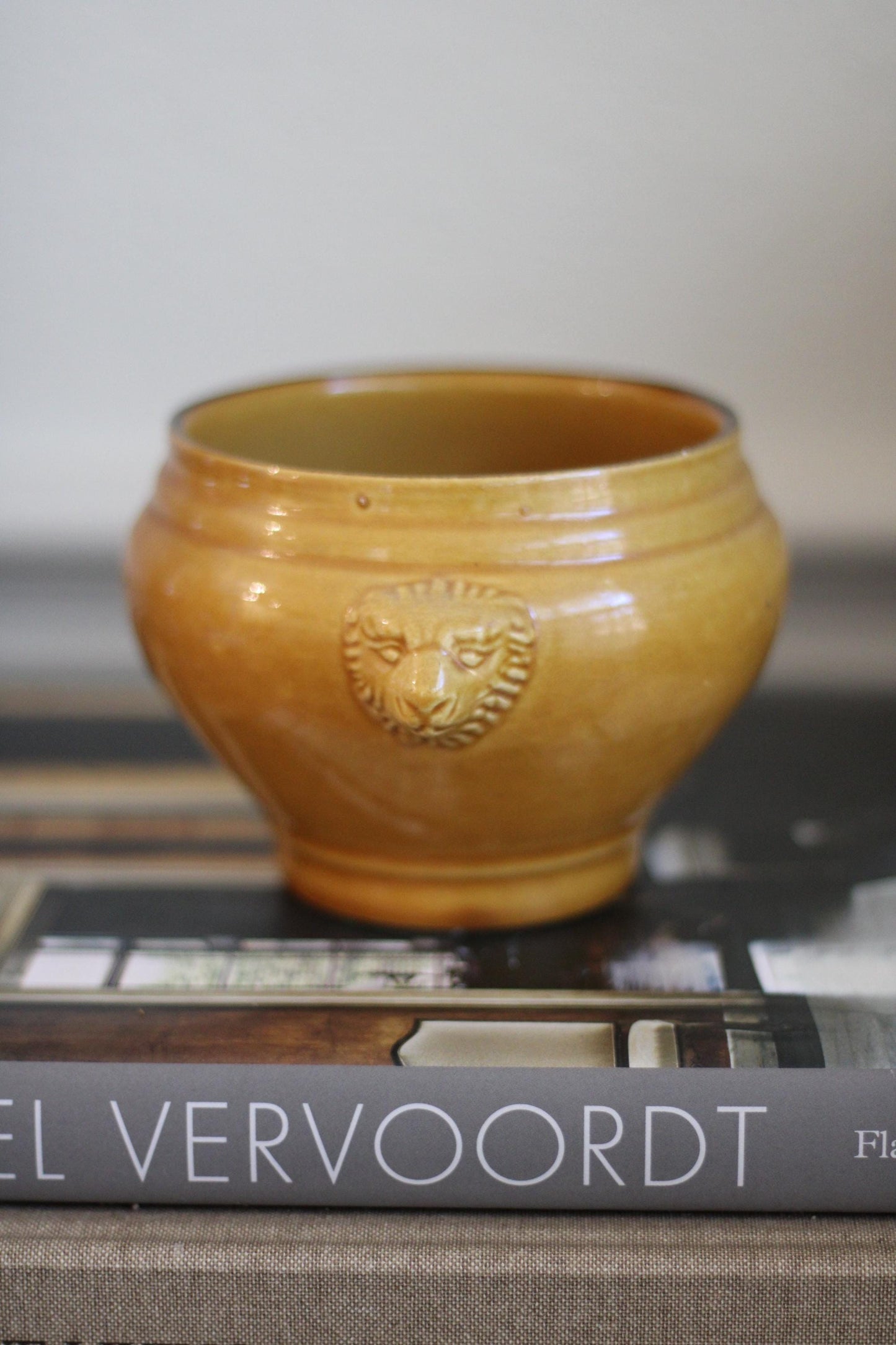 Vintage Ceramic Lion Head Soup Tureen Made in France