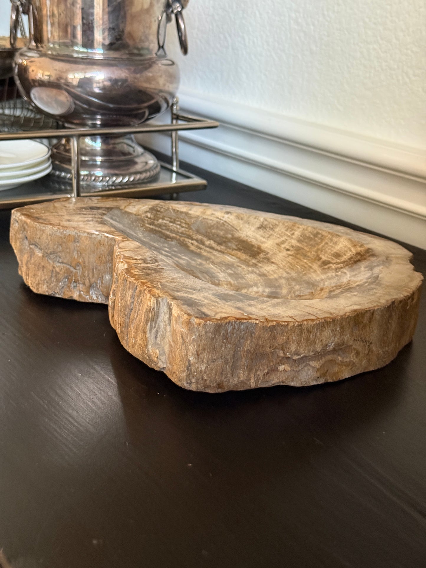 Large Petrified Wood Bowl